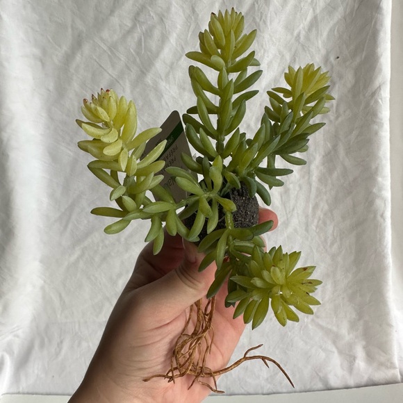 Other - Artificial Hanging Succulent Plant Realistic Faux Greenery for Home Office Decor